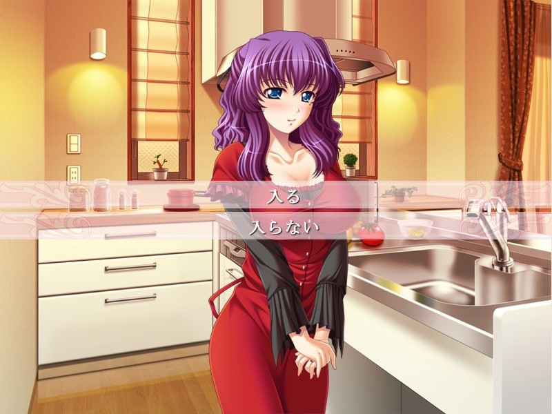 아네츠마 ~남매상간유희~