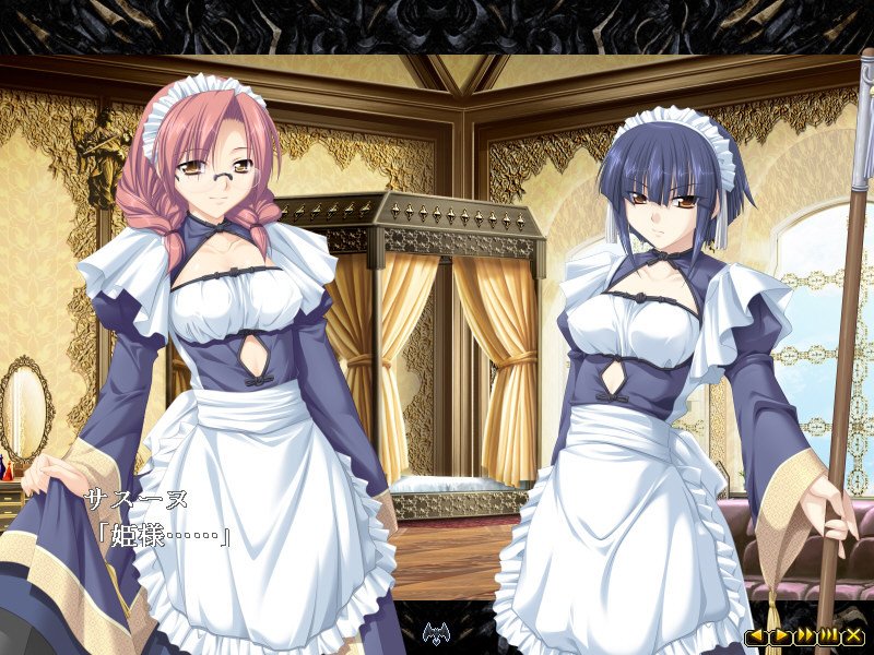 히메가리 던전 마이스터