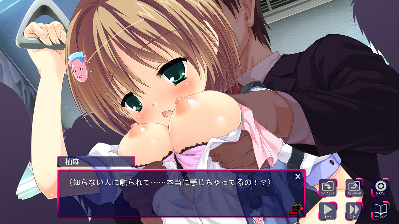 임간부도심선 ～멈추지 않는 치한 연쇄～