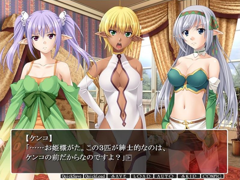 다키 3 ～엘프 탐닉 조교편～