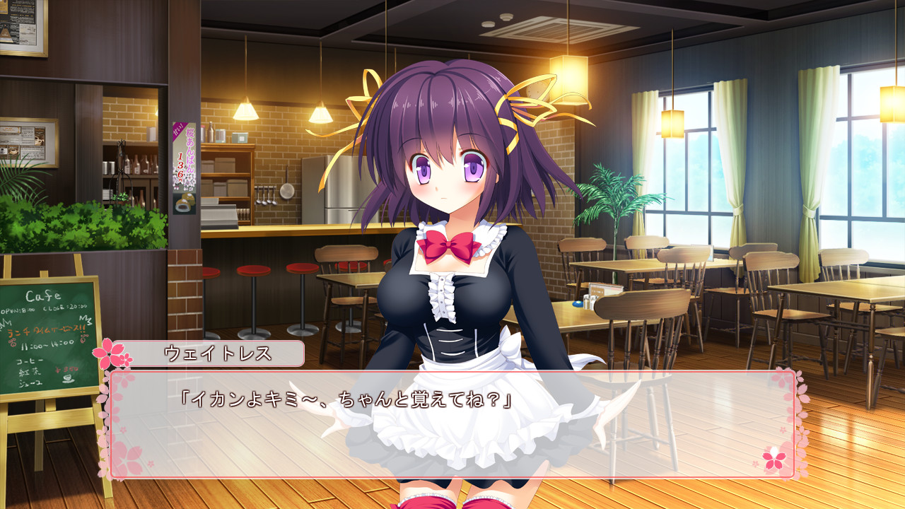 사쿠라 싱크로니시티