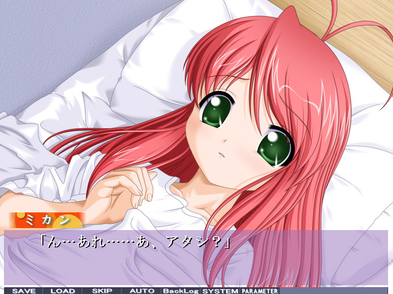 타노시이 쵸쿄～♪ ～미칸과 보내는 여름방학～