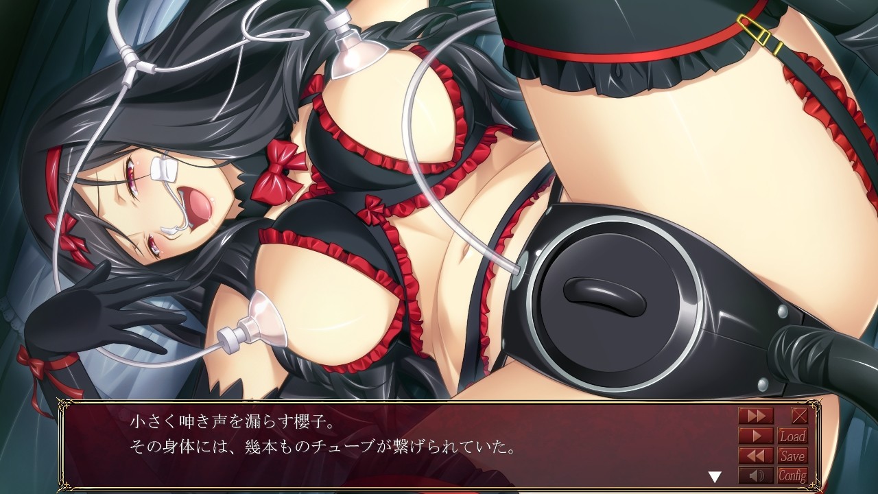 매춘 영애 ～스오인 사쿠라코의 죄와 부정～