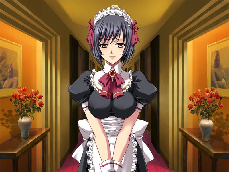 능욕 셀럽 처 ～굴욕!! 육노예로의 타락～