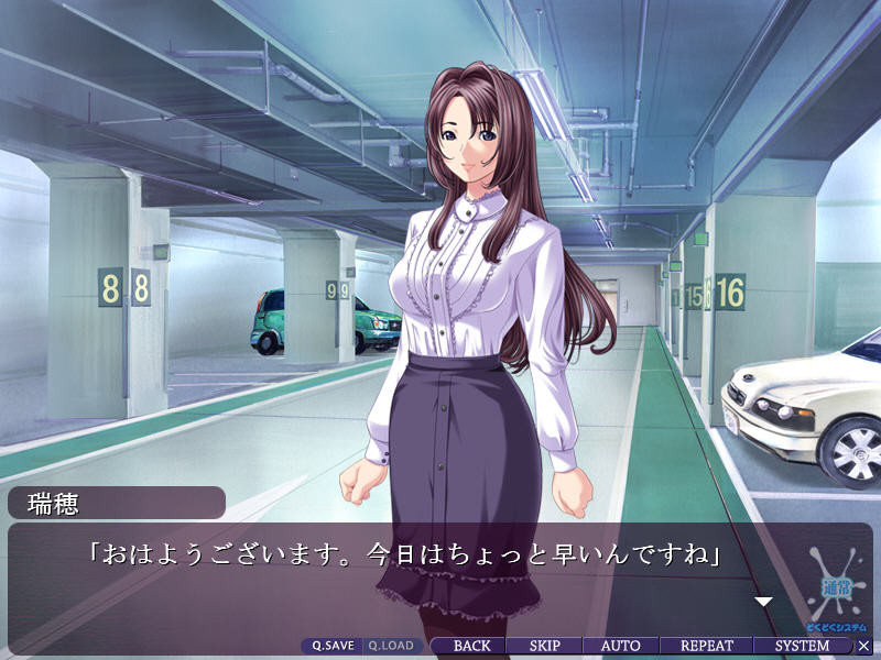 신부와 유괴범 ～네토리 임신 계획～