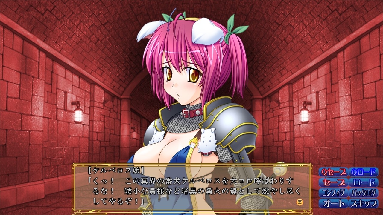 드래곤즈 레이드2 최면마법과 거유녀