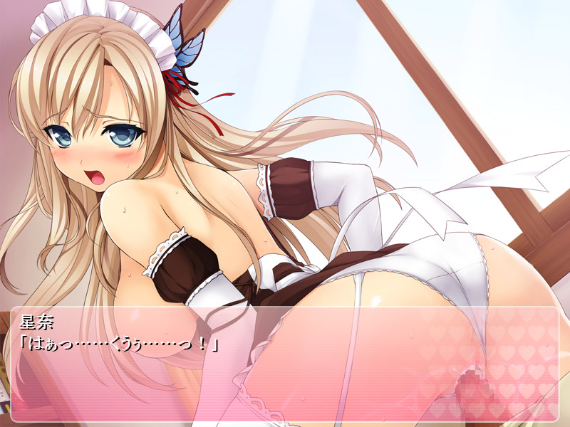 호시나 씨의 밝은 가족계획