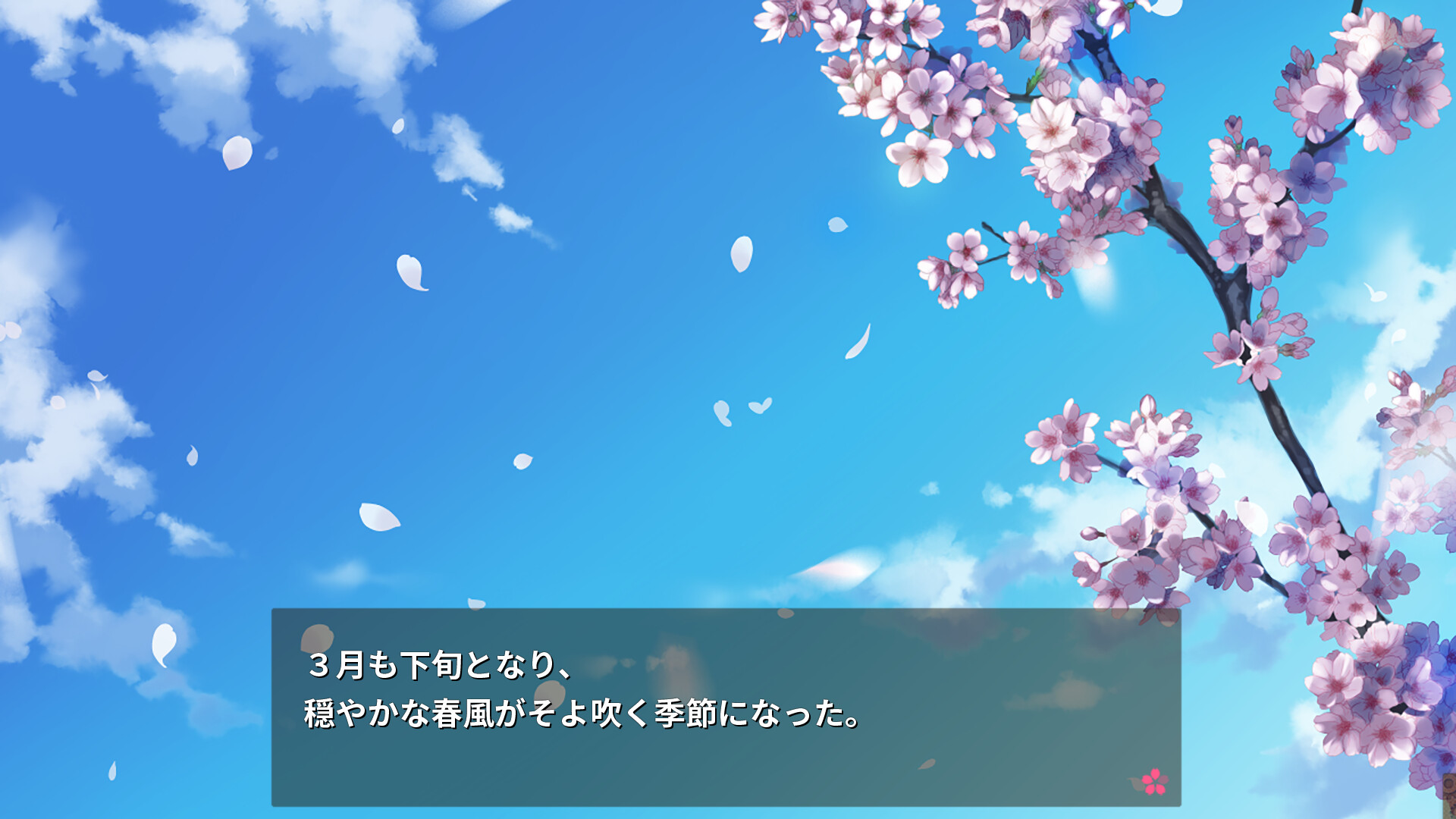 사쿠라색 Dreamer