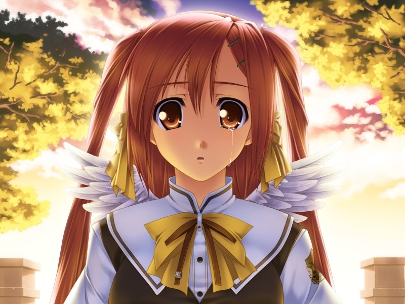 코코요리, 하루카 - Surrounded sea in the world -