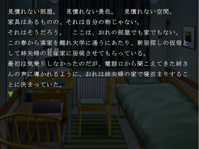 아네츠마 ~남매상간유희~