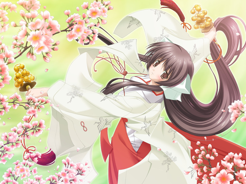 오시에테 무녀 선생님 2