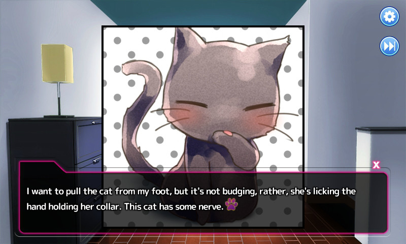 우리집 아기고양이