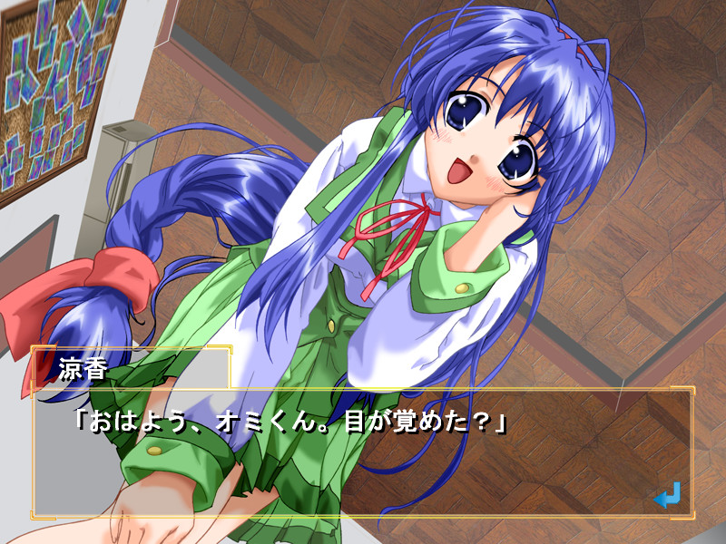 코스모스의 하늘에