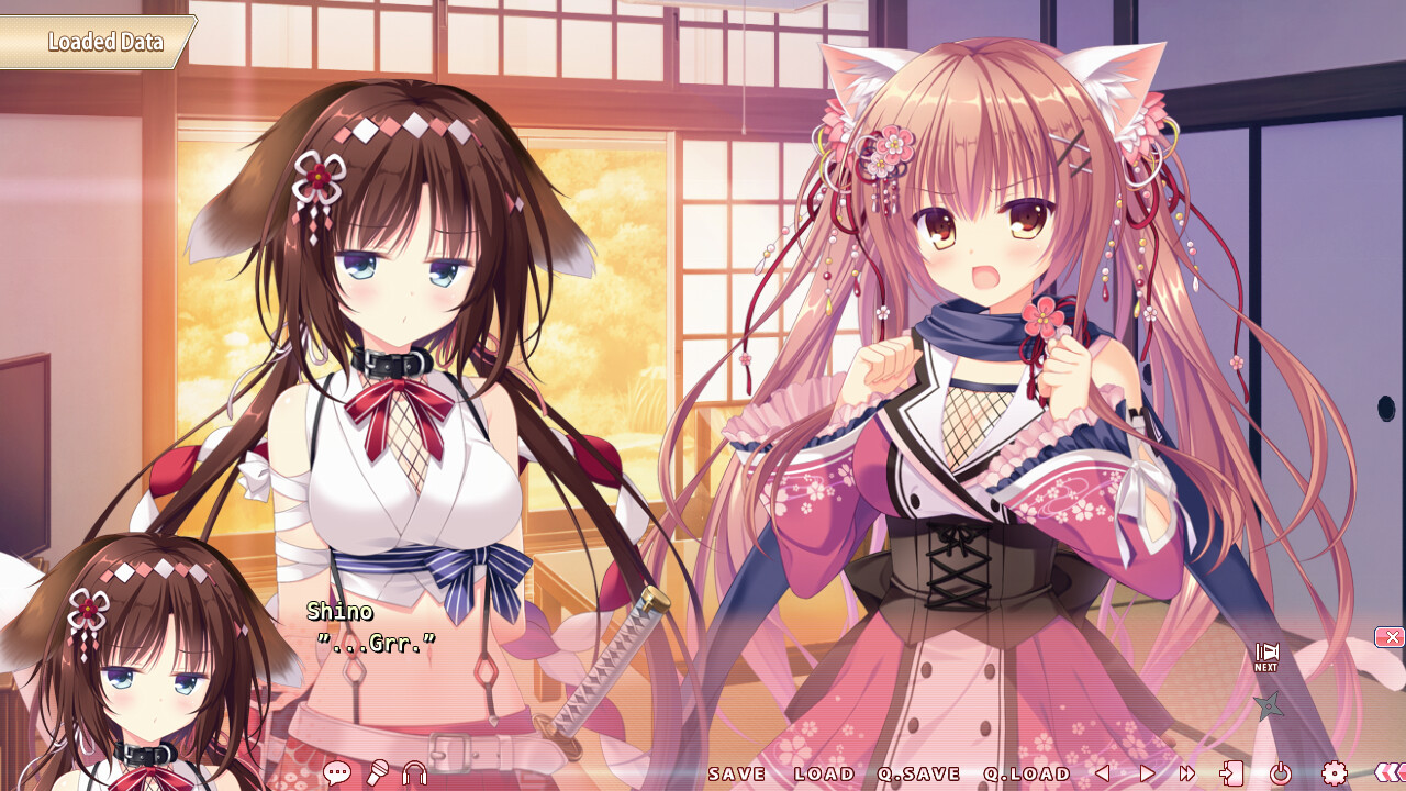 네코닌 에쿠스하트 3