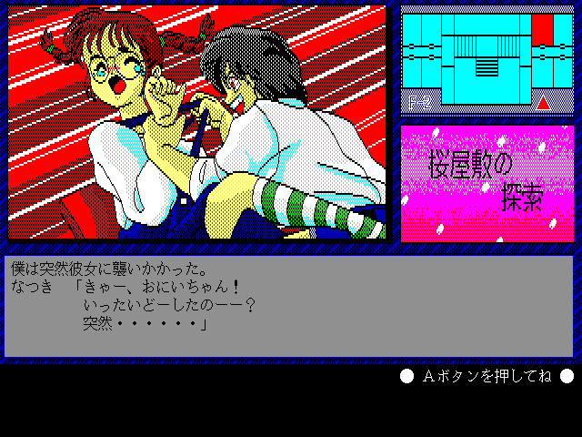 Intruder -사쿠라 저택의 탐색-