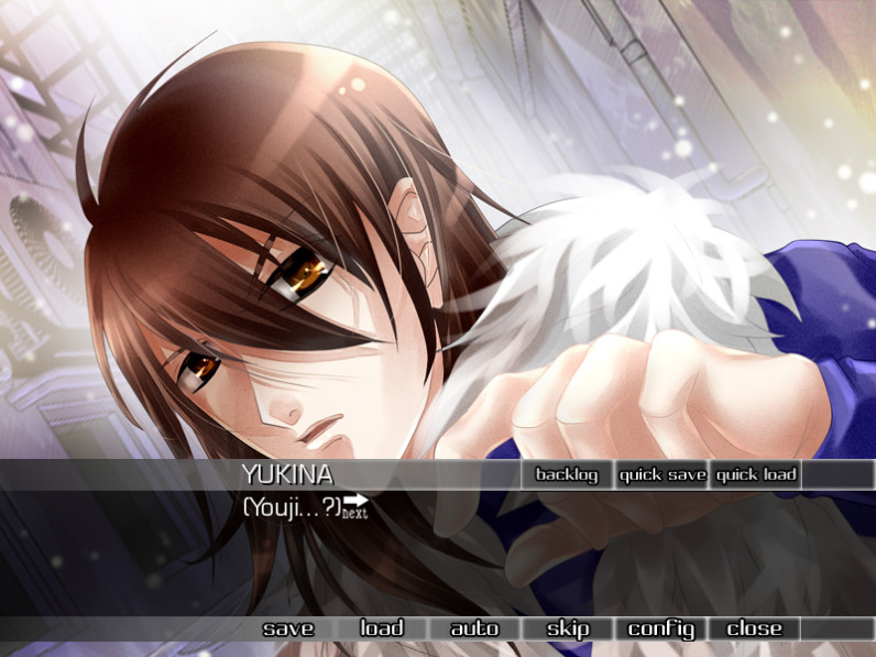 dUpLicity～거짓의 너머에 있는 것～