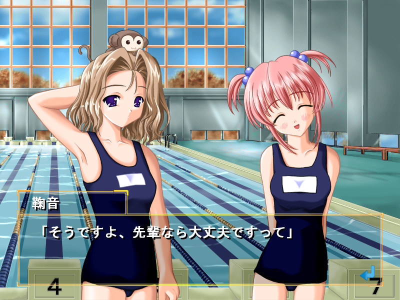 코스모스의 하늘에