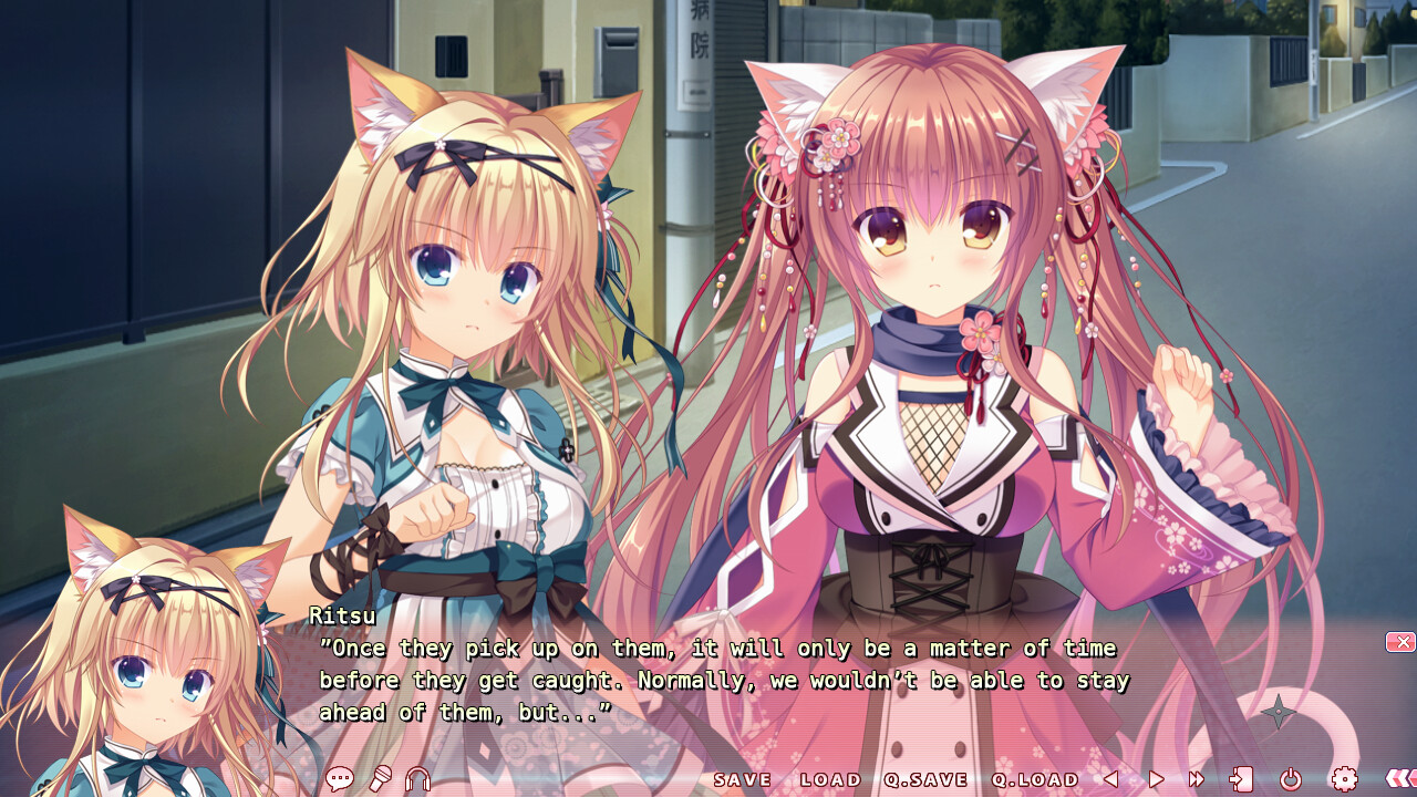 네코닌 에쿠스하트 3