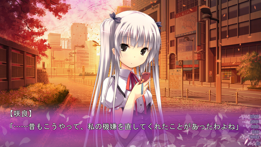 스키마 사쿠라와 거짓말의 도시