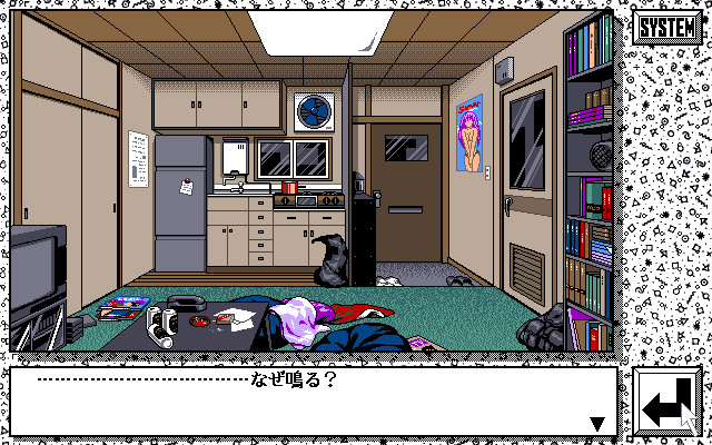 언젠가 어디선가.