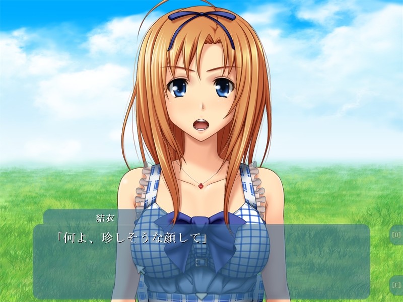 레이들 ～음란에 타락한 성 인형～