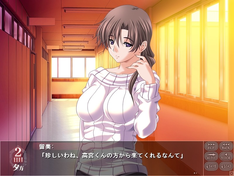 암노예 ～범해진 방과 후～