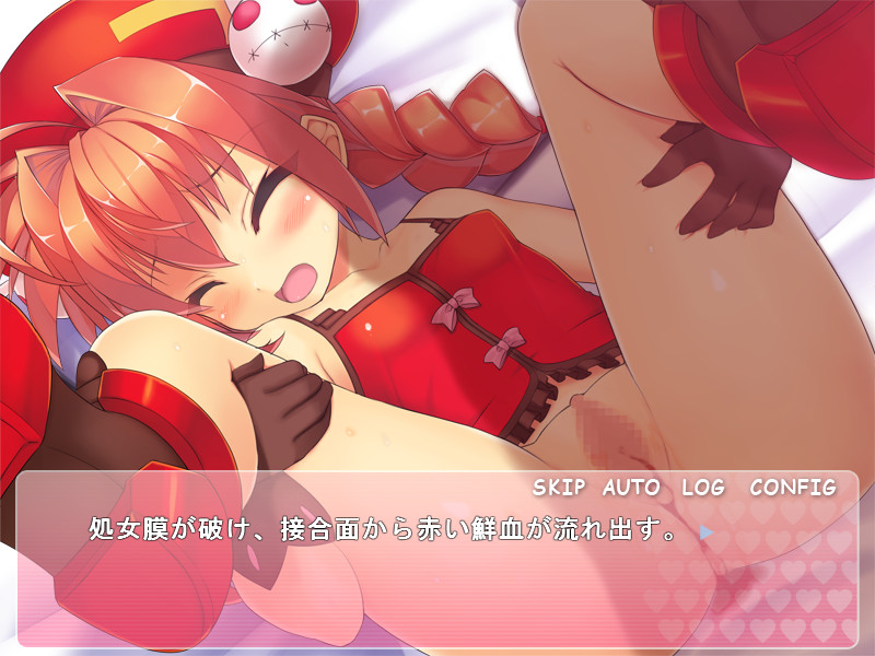 나와 비타와 원룸