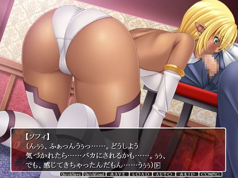 다키 3 ～엘프 탐닉 조교편～