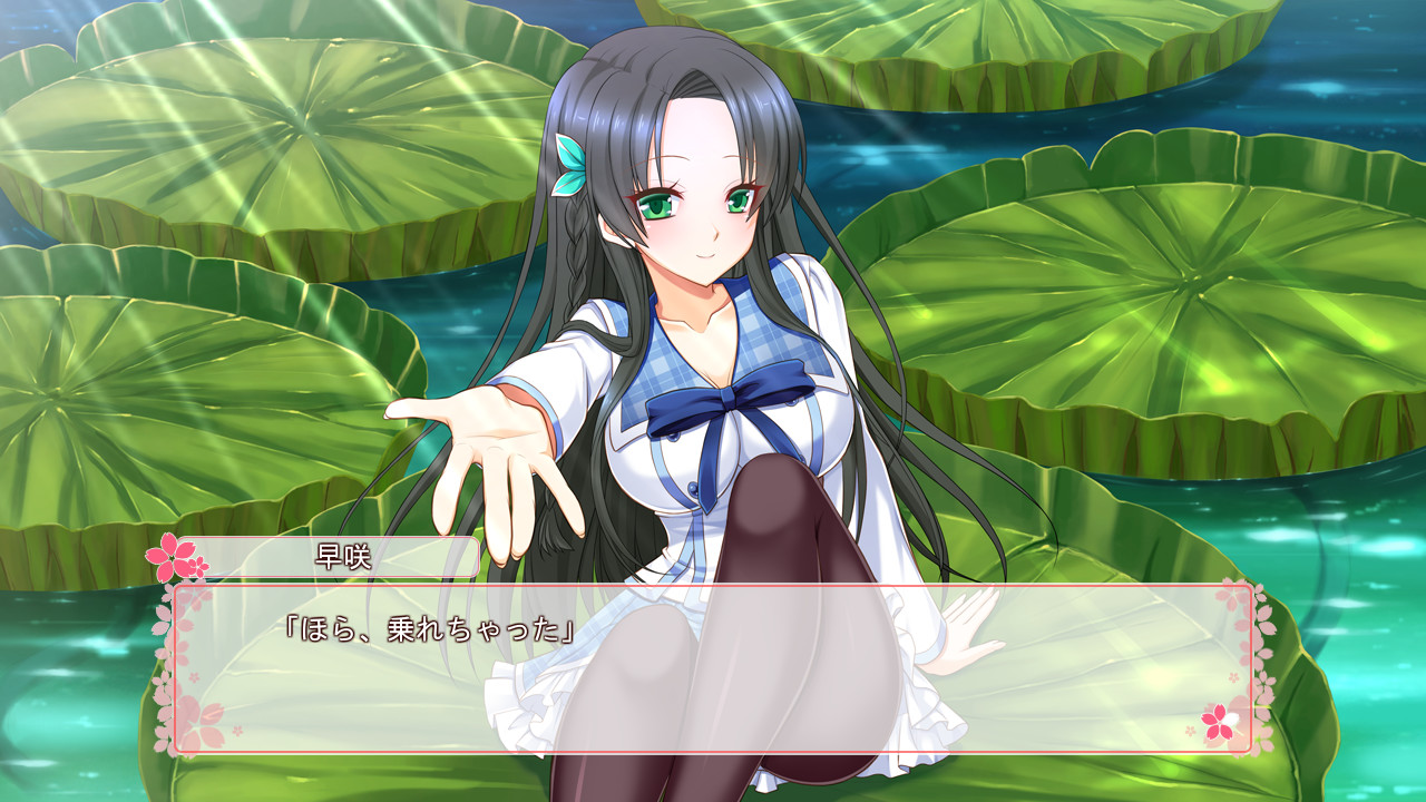 사쿠라 싱크로니시티