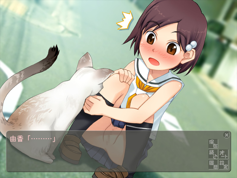 하기와스레 애호회