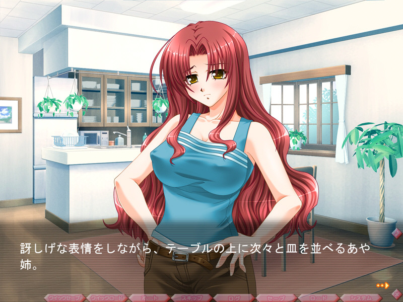 오레의 누나. ～오레는 누나의 장난감이 아니라고!～