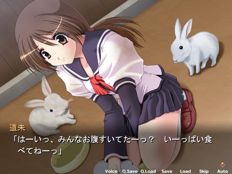 언밸런스～그녀의 마음은 뺏을 수 없어?～