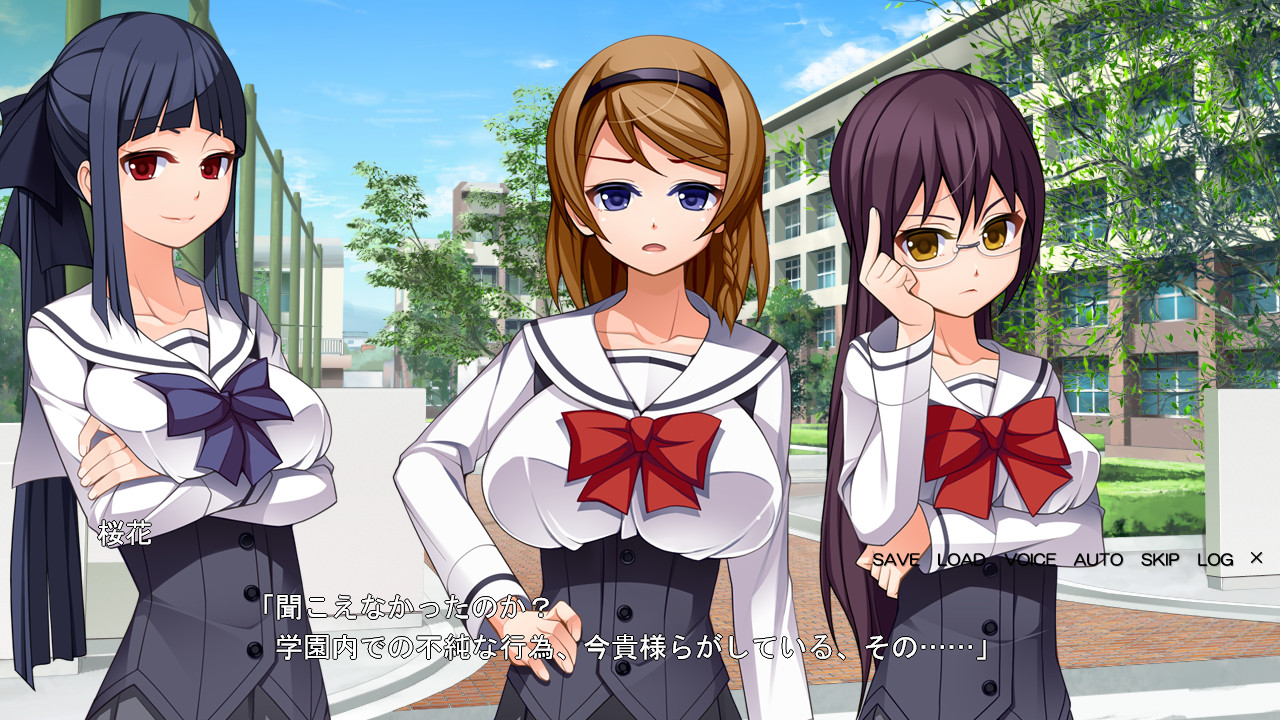 네토리 학원 ～남자친구가 있어도 상관없어! 마음껏 즐기는 ADV～