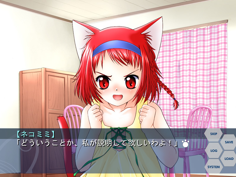 프라네코 PLANET OF THE CATS