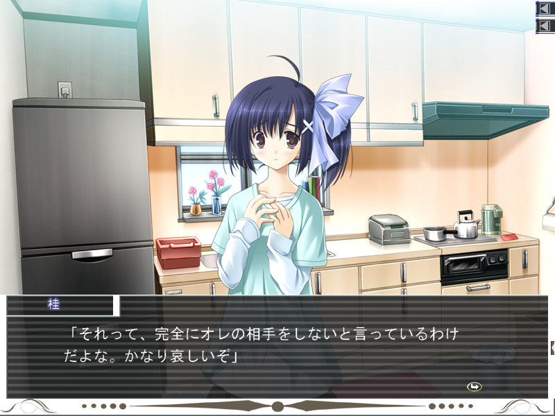 Eternal Sky～유구의 하늘 저편～