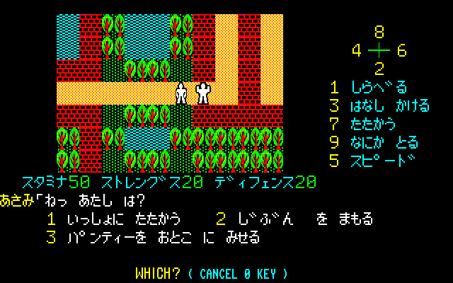 카루이자와 유괴 안내