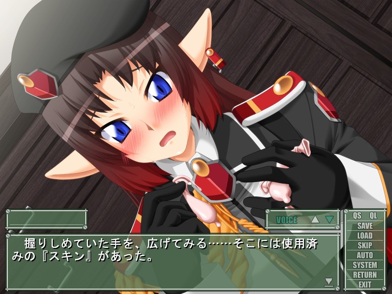 엘프군의 자매～아름다운 금단의 놀이～