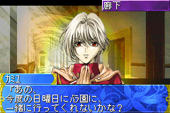 탐미몽상 마이네리베