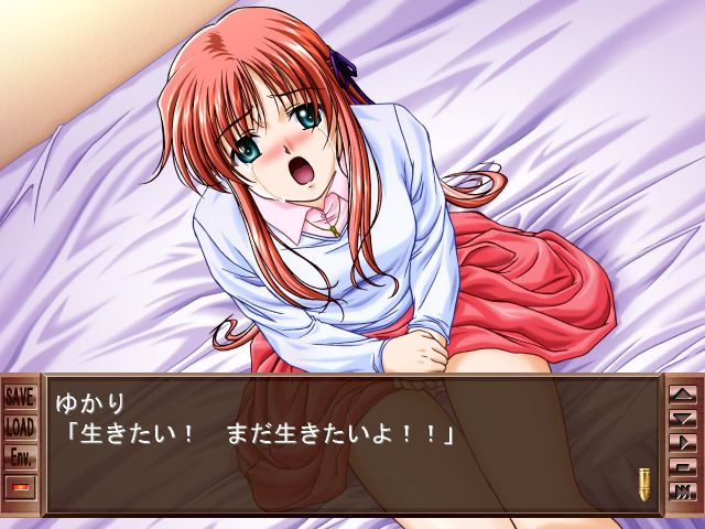 Wish～끝나가는 세상에서～