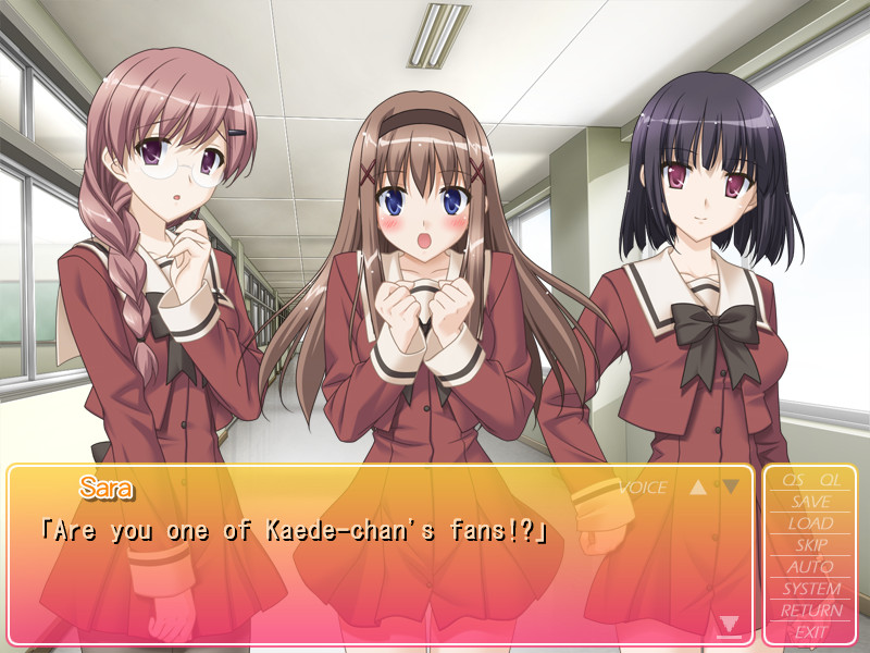 그 꽃잎에 입맞춤을 당신을 좋아하는 행복