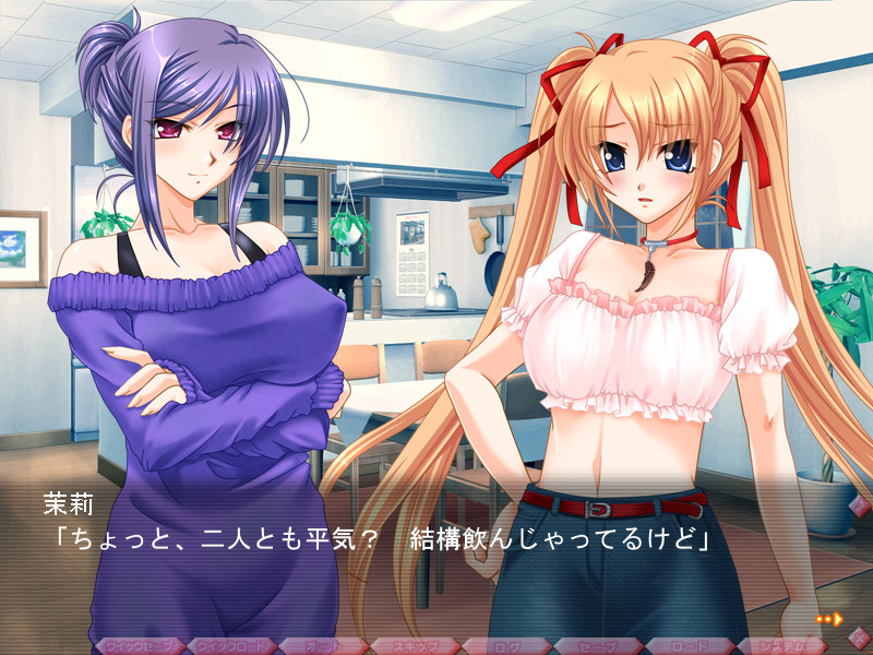 오레의 누나. ～오레는 누나의 장난감이 아니라고!～