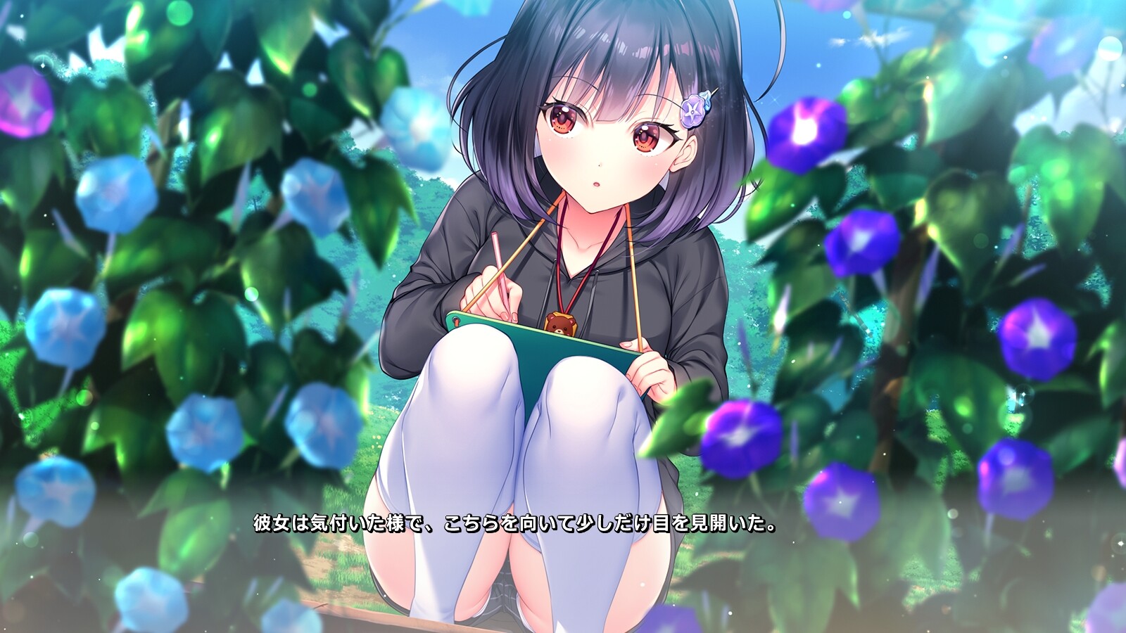 아사가오는 밤을 알지 못한다.