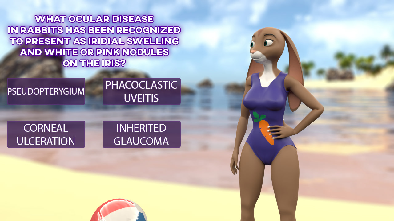 Yiff Strip Surprise (EP6)