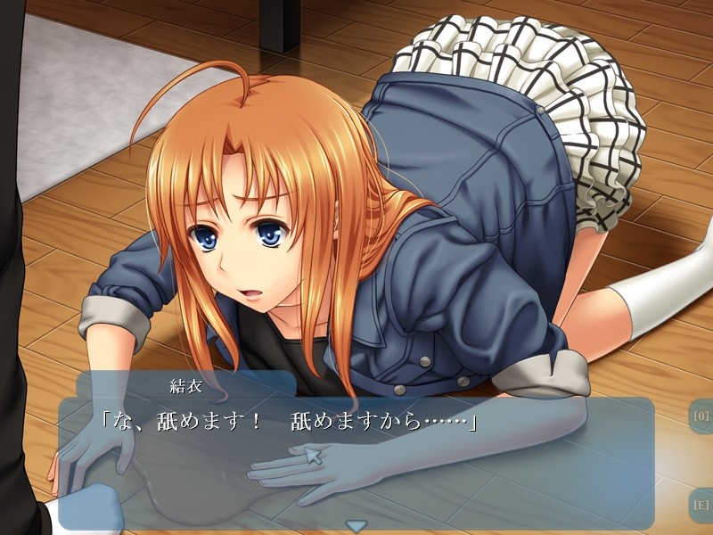 레이들 ～음란에 타락한 성 인형～