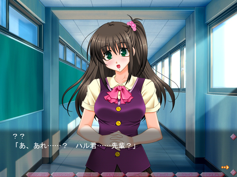 오레의 누나. ～오레는 누나의 장난감이 아니라고!～