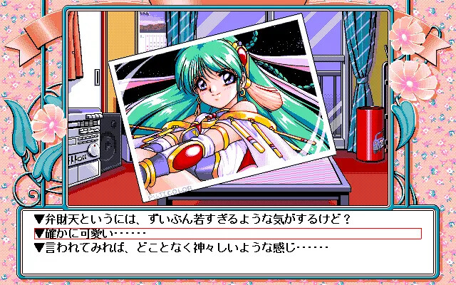 캰캰 바니 리미티드 5 1/2