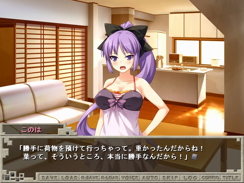 언니와 여동생을 마음대로 하는 10가지 계율～법도 자매도 전부 범해버려!～