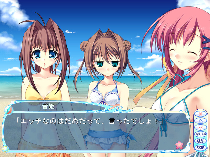 C.D.C.D.2 ～시디시디2～