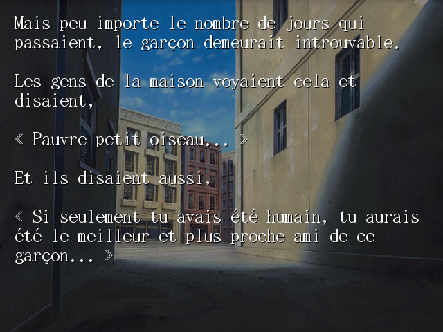 가엾은 작은 새