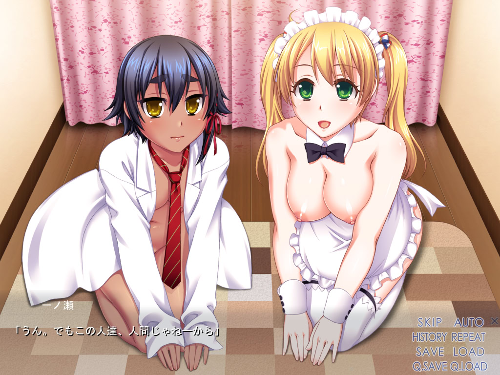 누키호다이! 학원 풍속!! ～소악마 비치와 밤의 문화제～